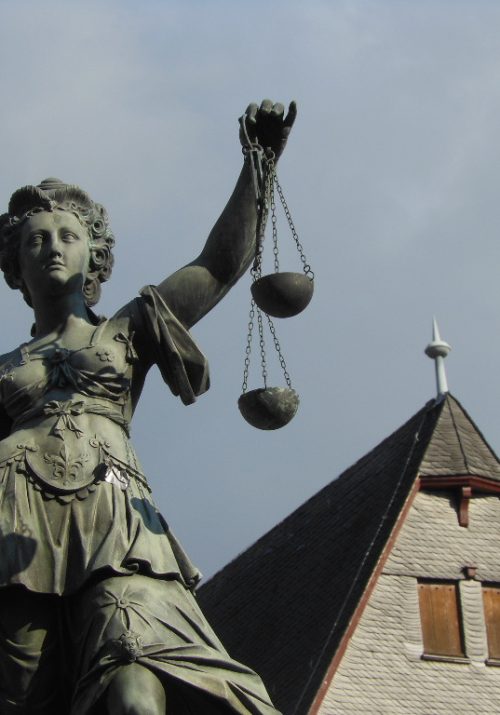 Image courtesy Michael Coghlan